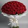 Букет 101 Красная роза Блэк Мэджик в Данки