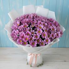 Букет цветов из:  Хризантемы в Данки