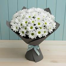 Букет цветов из:  Хризантемы #REPLACE_PRED# Данки