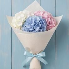 Букет цветов из:  Гортензия в Данки