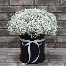 Цветочная композиция из Гипсофила в шляпной коробке в Данки