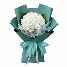 Букет цветов из:  Гортензия в Данки